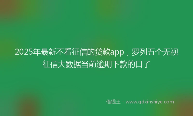 2025年最新不看征信的贷款app，罗列五个无视征信大数据当前逾期下款的口子