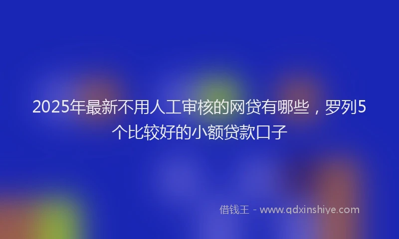 2025年最新不用人工审核的网贷有哪些，罗列5个比较好的小额贷款口子