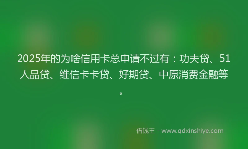 2025年的为啥信用卡总申请不过有：功夫贷、51人品贷、维信卡卡贷、好期贷、中原消费金融等。