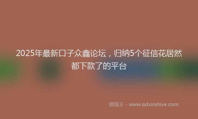 2025年最新口子众鑫论坛，归纳5个征信花居然都下款了的平台