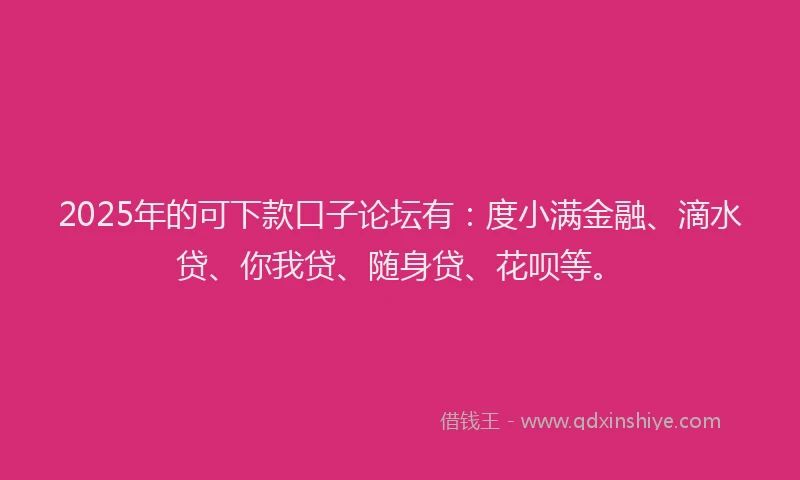 2025年的可下款口子论坛有：度小满金融、滴水贷、你我贷、随身贷、花呗等。
