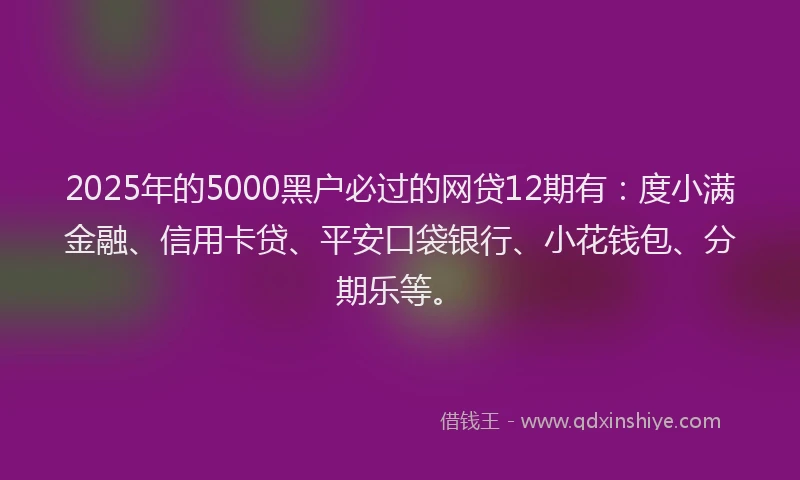 2025年的5000黑户必过的网贷12期有：度小满金融、信用卡贷、平安口袋银行、小花钱包、分期乐等。