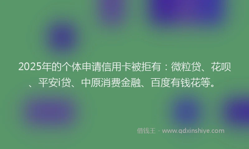 2025年的个体申请信用卡被拒有：微粒贷、花呗、平安i贷、中原消费金融、百度有钱花等。