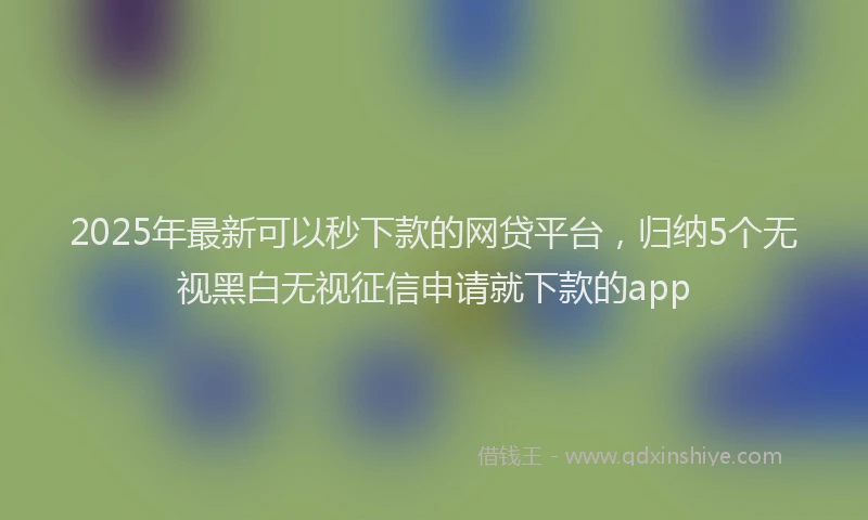 2025年最新可以秒下款的网贷平台，归纳5个无视黑白无视征信申请就下款的app