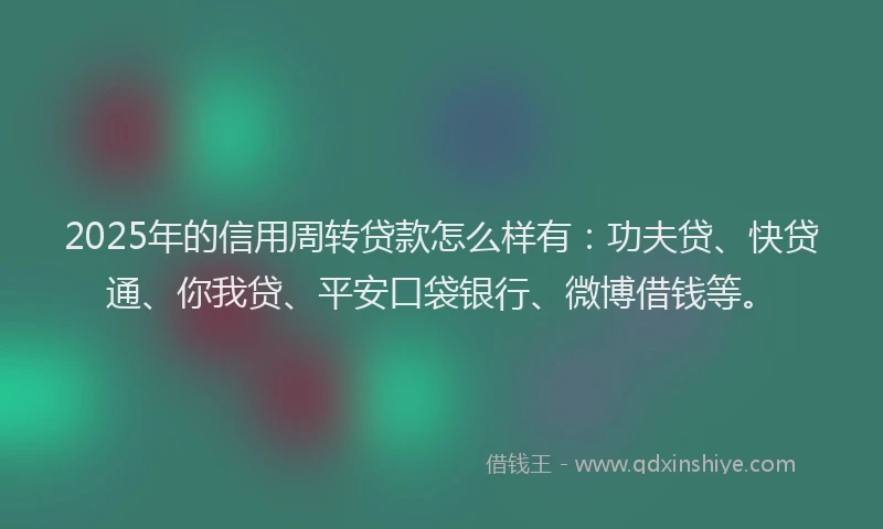 2025年的信用周转贷款怎么样有：功夫贷、快贷通、你我贷、平安口袋银行、微博借钱等。