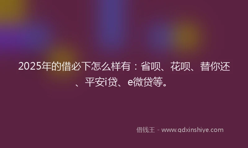 2025年的借必下怎么样有：省呗、花呗、替你还、平安i贷、e微贷等。