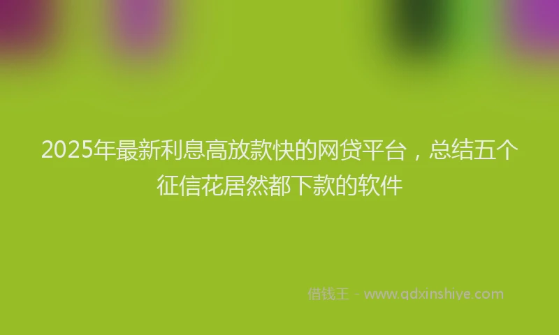 2025年最新利息高放款快的网贷平台，总结五个征信花居然都下款的软件