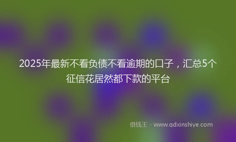 2025年最新不看负债不看逾期的口子，汇总5个征信花居然都下款的平台