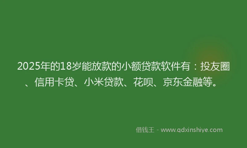 2025年的18岁能放款的小额贷款软件有：投友圈、信用卡贷、小米贷款、花呗、京东金融等。