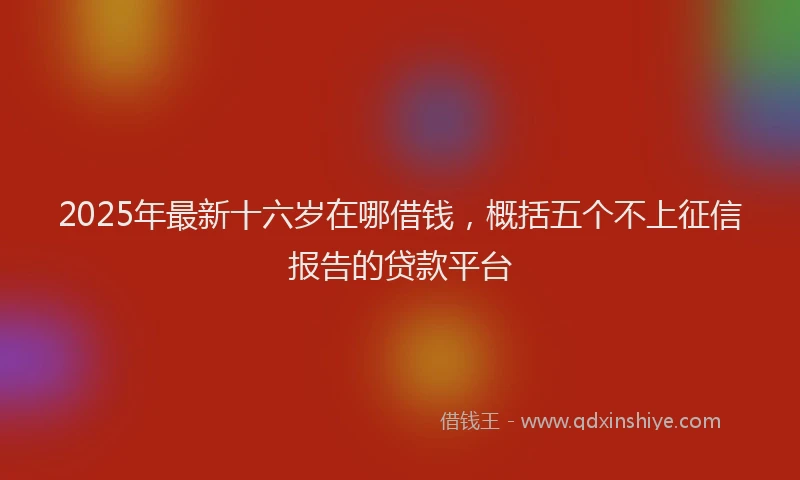 2025年最新十六岁在哪借钱，概括五个不上征信报告的贷款平台