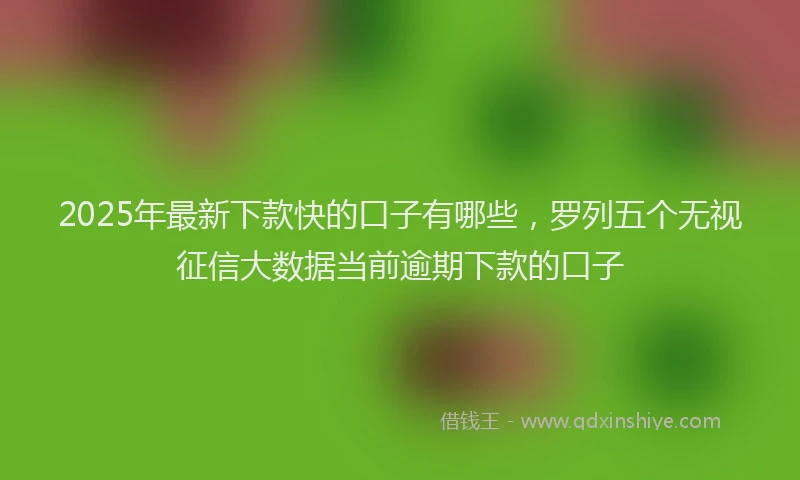 2025年最新下款快的口子有哪些，罗列五个无视征信大数据当前逾期下款的口子