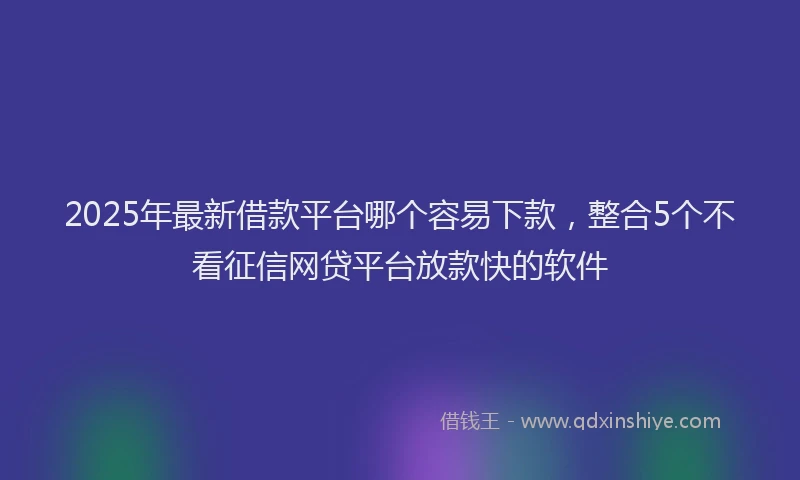 2025年最新借款平台哪个容易下款，整合5个不看征信网贷平台放款快的软件