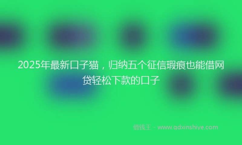 2025年最新口子猫，归纳五个征信瑕疵也能借网贷轻松下款的口子