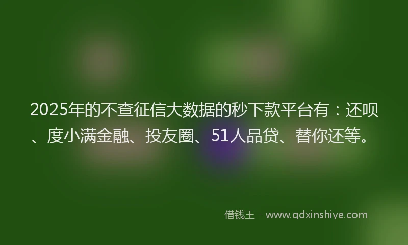 2025年的不查征信大数据的秒下款平台有：还呗、度小满金融、投友圈、51人品贷、替你还等。