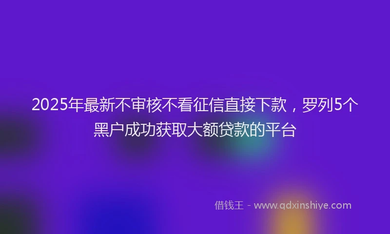 2025年最新不审核不看征信直接下款，罗列5个黑户成功获取大额贷款的平台