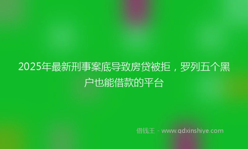 2025年最新刑事案底导致房贷被拒，罗列五个黑户也能借款的平台