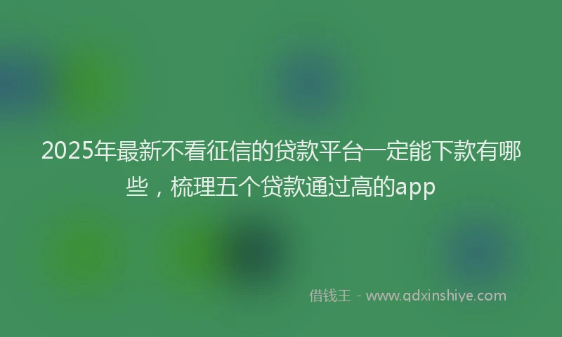 2025年最新不看征信的贷款平台一定能下款有哪些，梳理五个贷款通过高的app