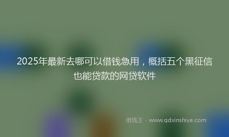 2025年最新去哪可以借钱急用，概括五个黑征信也能贷款的网贷软件