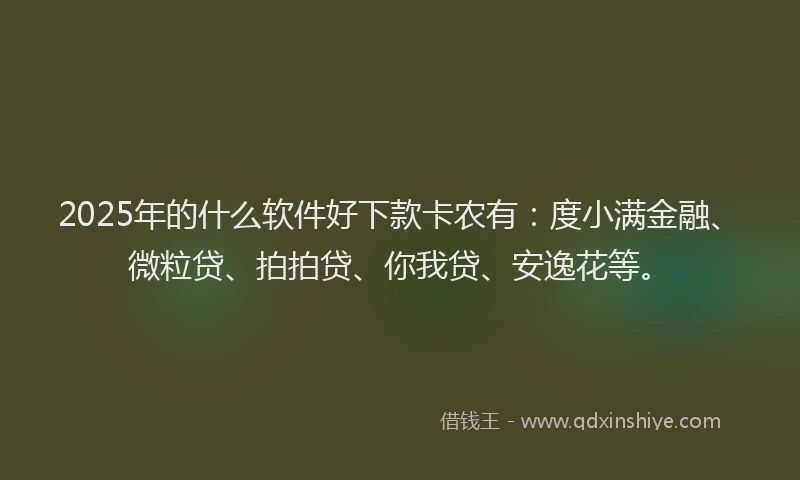 2025年的什么软件好下款卡农有：度小满金融、微粒贷、拍拍贷、你我贷、安逸花等。