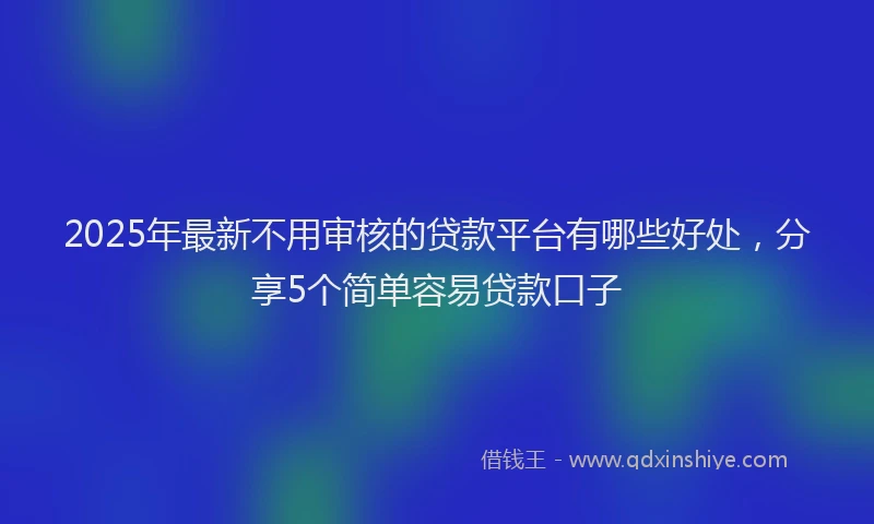 2025年最新不用审核的贷款平台有哪些好处，分享5个简单容易贷款口子