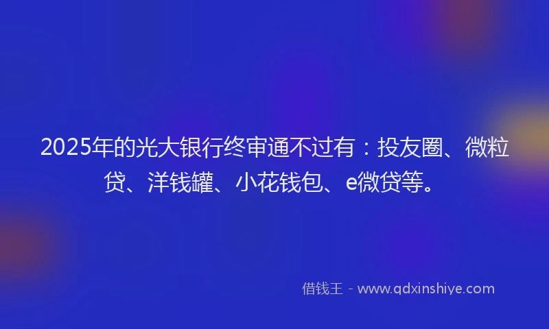 2025年的光大银行终审通不过有：投友圈、微粒贷、洋钱罐、小花钱包、e微贷等。