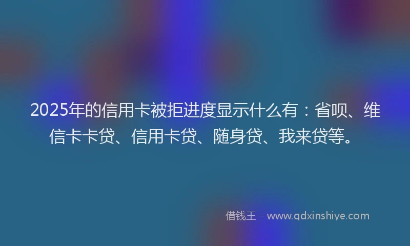 2025年的信用卡被拒进度显示什么有：省呗、维信卡卡贷、信用卡贷、随身贷、我来贷等。