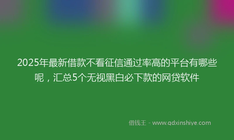 2025年最新借款不看征信通过率高的平台有哪些呢，汇总5个无视黑白必下款的网贷软件