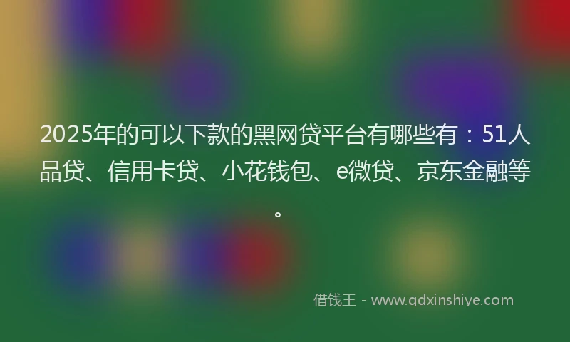 2025年的可以下款的黑网贷平台有哪些有：51人品贷、信用卡贷、小花钱包、e微贷、京东金融等。
