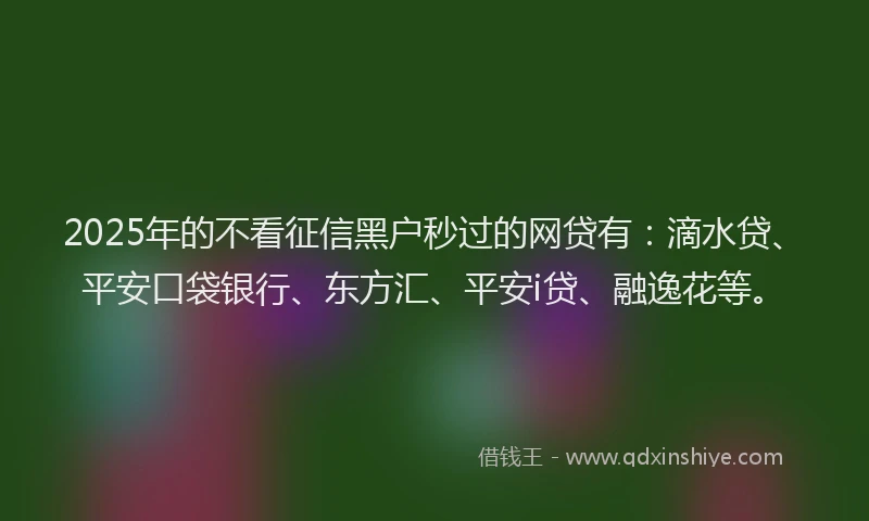 2025年的不看征信黑户秒过的网贷有：滴水贷、平安口袋银行、东方汇、平安i贷、融逸花等。