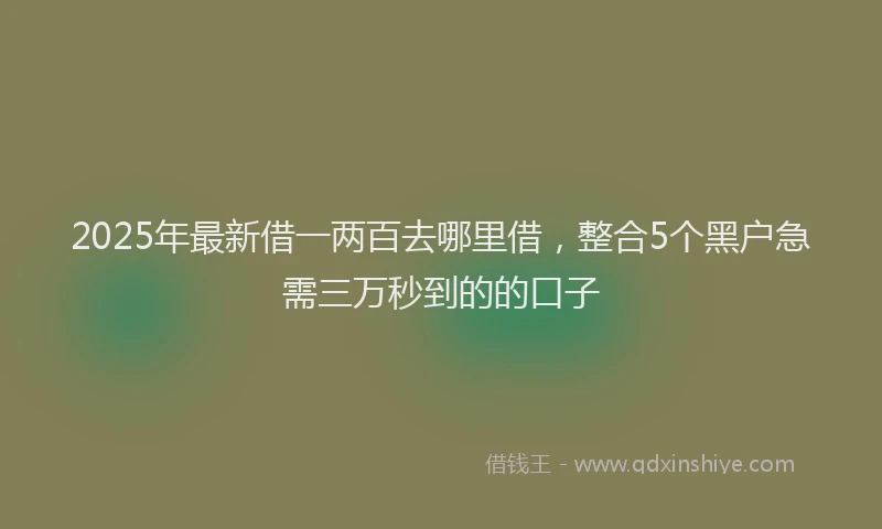 2025年最新借一两百去哪里借，整合5个黑户急需三万秒到的的口子