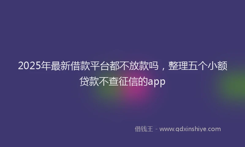 2025年最新借款平台都不放款吗，整理五个小额贷款不查征信的app
