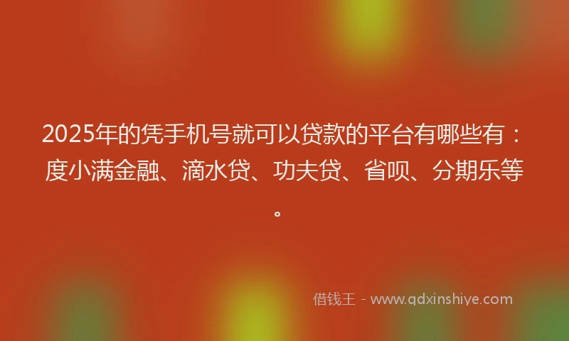 2025年的凭手机号就可以贷款的平台有哪些有：度小满金融、滴水贷、功夫贷、省呗、分期乐等。