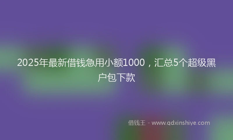 2025年最新借钱急用小额1000，汇总5个超级黑户包下款