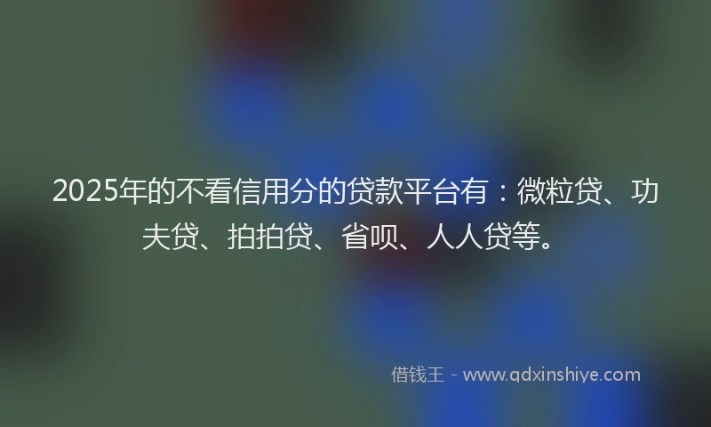 2025年的不看信用分的贷款平台有：微粒贷、功夫贷、拍拍贷、省呗、人人贷等。