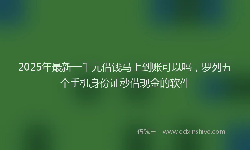 2025年最新一千元借钱马上到账可以吗，罗列五个手机身份证秒借现金的软件