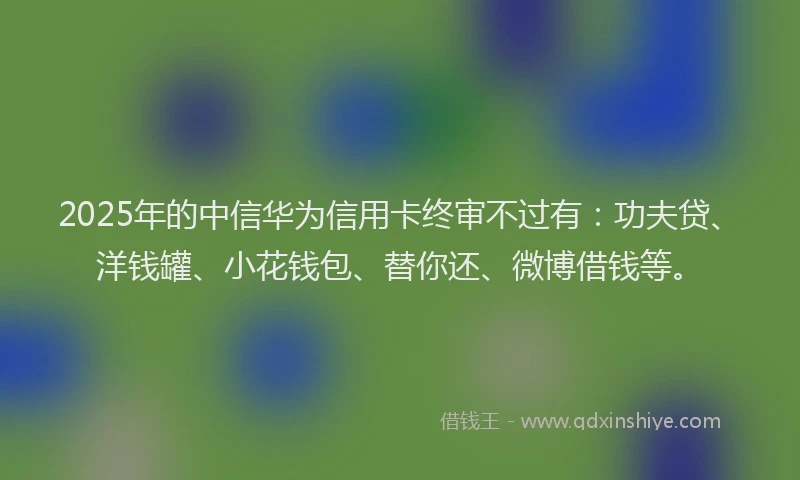 2025年的中信华为信用卡终审不过有：功夫贷、洋钱罐、小花钱包、替你还、微博借钱等。