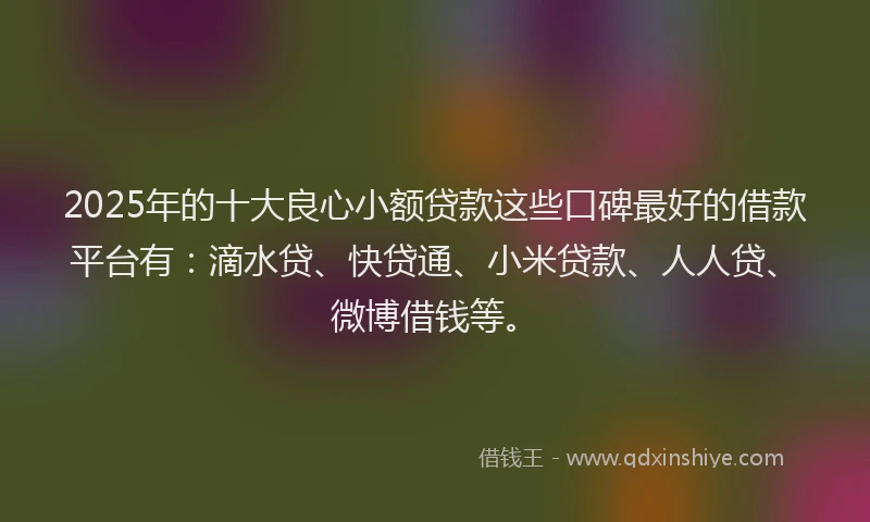2025年的十大良心小额贷款这些口碑最好的借款平台有：滴水贷、快贷通、小米贷款、人人贷、微博借钱等。