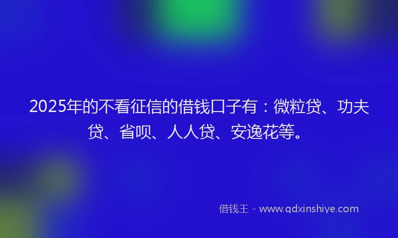2025年的不看征信的借钱口子有：微粒贷、功夫贷、省呗、人人贷、安逸花等。
