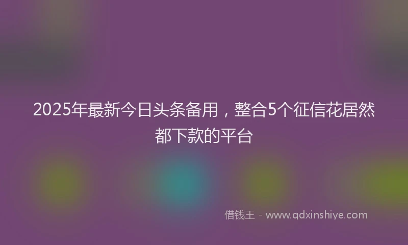 2025年最新今日头条备用，整合5个征信花居然都下款的平台