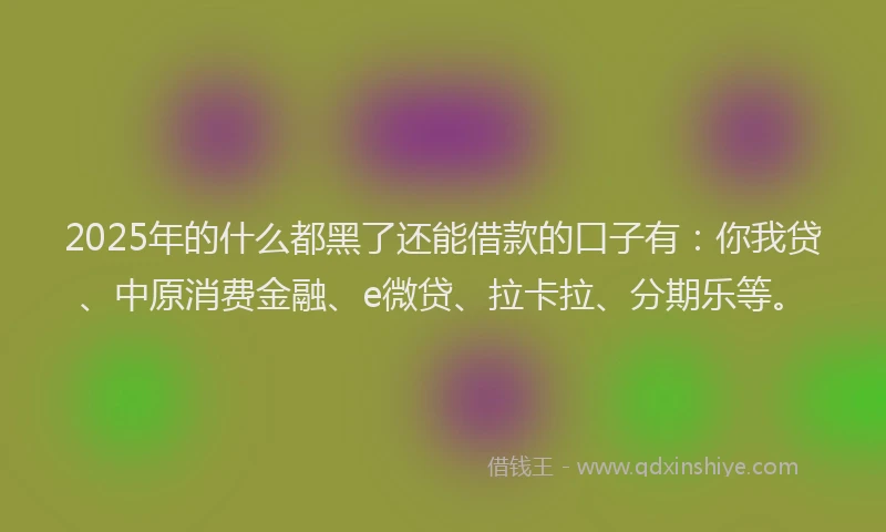 2025年的什么都黑了还能借款的口子有：你我贷、中原消费金融、e微贷、拉卡拉、分期乐等。
