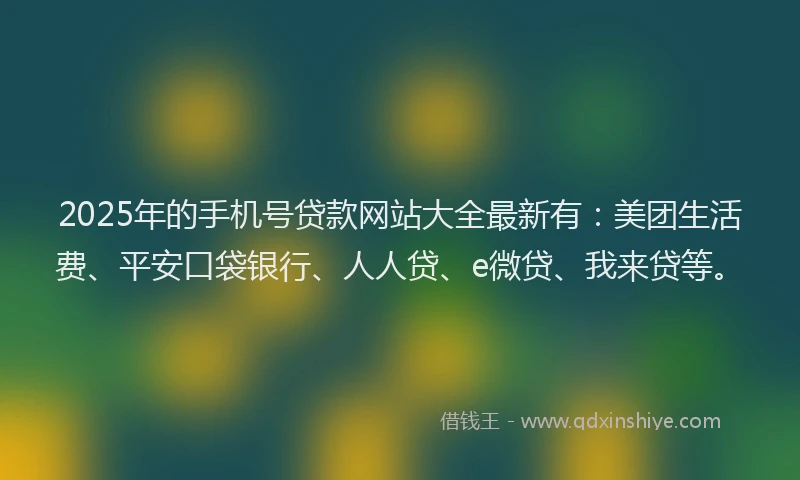 2025年的手机号贷款网站大全最新有：美团生活费、平安口袋银行、人人贷、e微贷、我来贷等。
