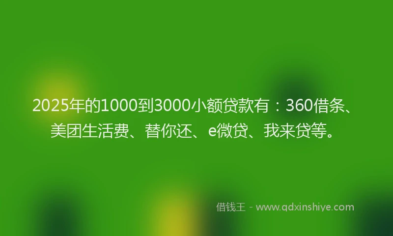 2025年的1000到3000小额贷款有：360借条、美团生活费、替你还、e微贷、我来贷等。