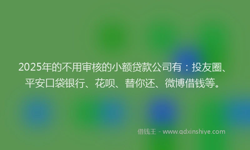 2025年的不用审核的小额贷款公司有：投友圈、平安口袋银行、花呗、替你还、微博借钱等。