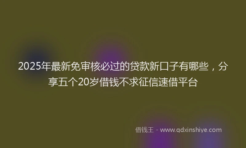 2025年最新免审核必过的贷款新口子有哪些，分享五个20岁借钱不求征信速借平台