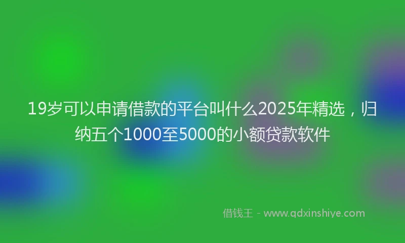 19岁可以申请借款的平台叫什么2025年精选，归纳五个1000至5000的小额贷款软件