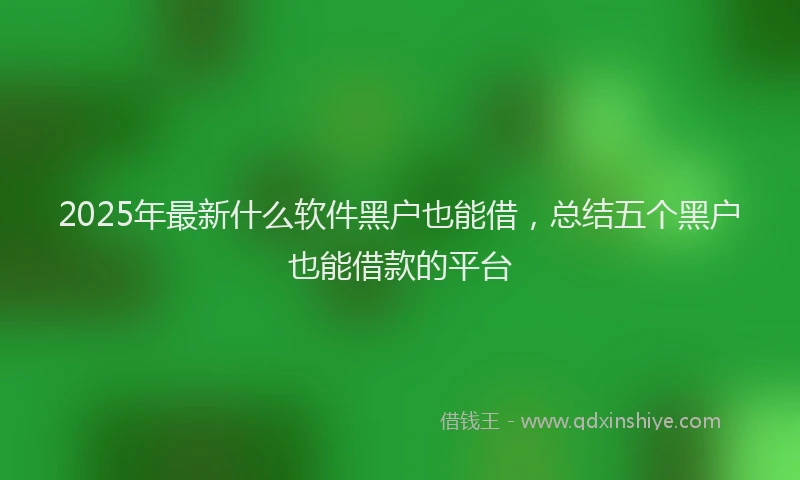2025年最新什么软件黑户也能借，总结五个黑户也能借款的平台