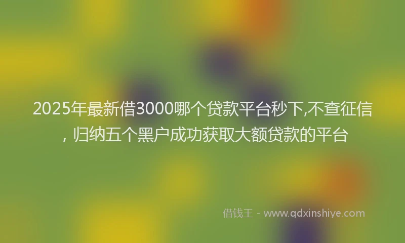 2025年最新借3000哪个贷款平台秒下,不查征信，归纳五个黑户成功获取大额贷款的平台