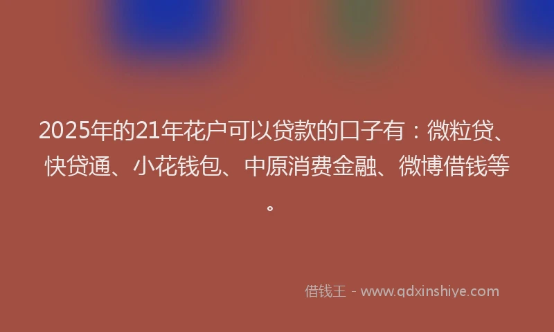 2025年的21年花户可以贷款的口子有：微粒贷、快贷通、小花钱包、中原消费金融、微博借钱等。