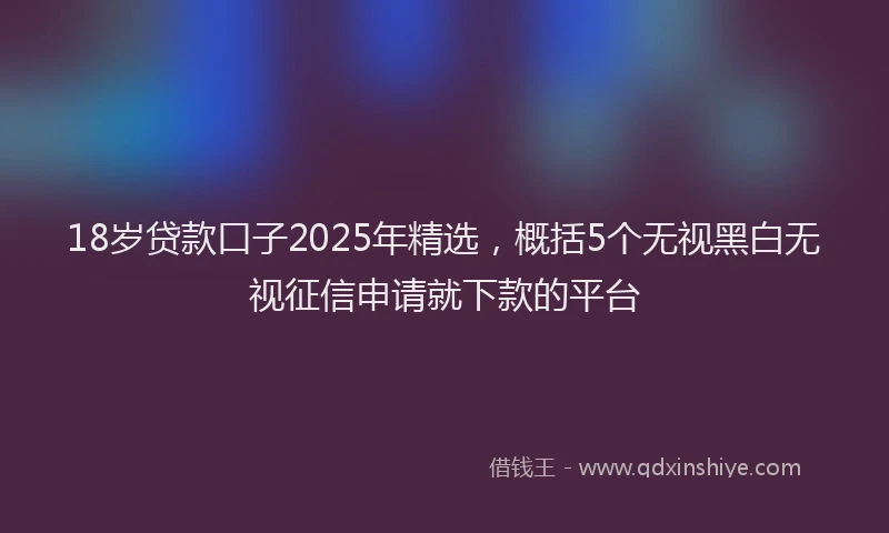 18岁贷款口子2025年精选，概括5个无视黑白无视征信申请就下款的平台