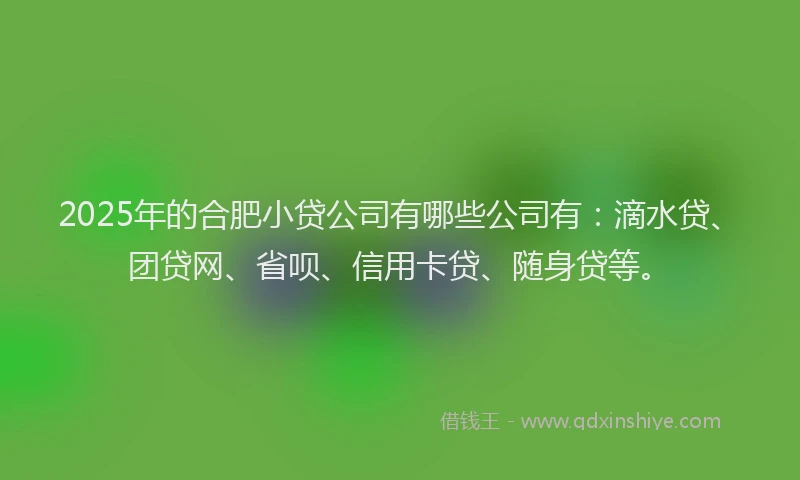 2025年的合肥小贷公司有哪些公司有：滴水贷、团贷网、省呗、信用卡贷、随身贷等。